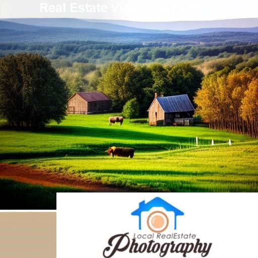 Marketing Your Real Estate Videography - LocalRealEstatePhotography.com Rex